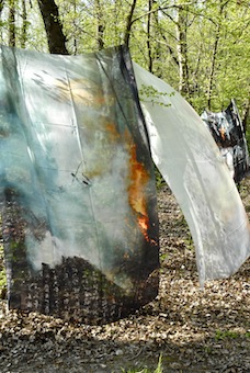 en souvenir de Tanaka.jpg