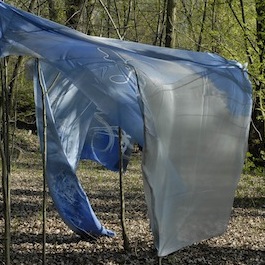 tombés du ciel 2.jpg